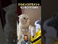 みんなはどれが一番好き？