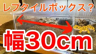 レオパやコーンスネークの飼育に丁度良いサイズの爬虫類ケージを紹介します【レプタイルボックス一部互換有】