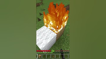 Minecraft Logic Makes No Sense Part 8 #shorts