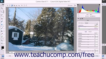 Photoshop Elements 13 Tutorial Adjusting White Levels Adobe Training