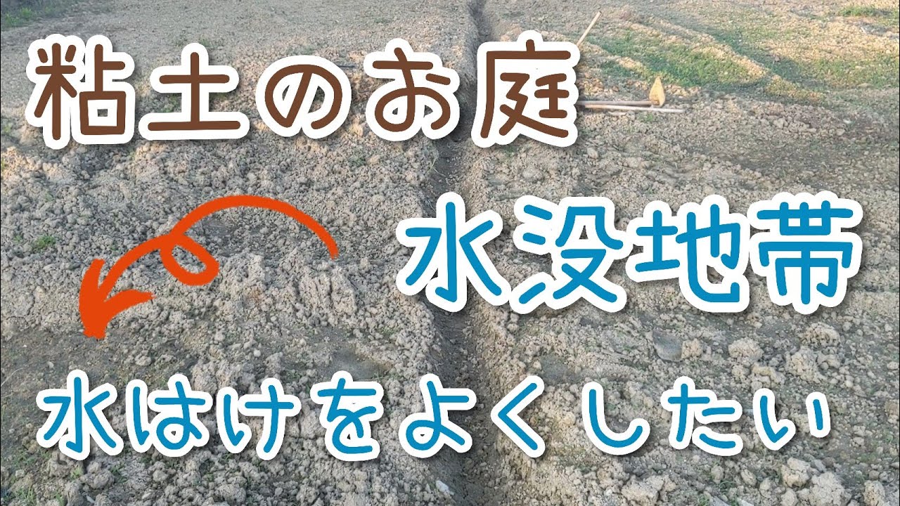 粘土のお庭の水はけ改善 排水チューブ Youtube 粘土のお庭の水はけ改善 排水チューブ Youtube