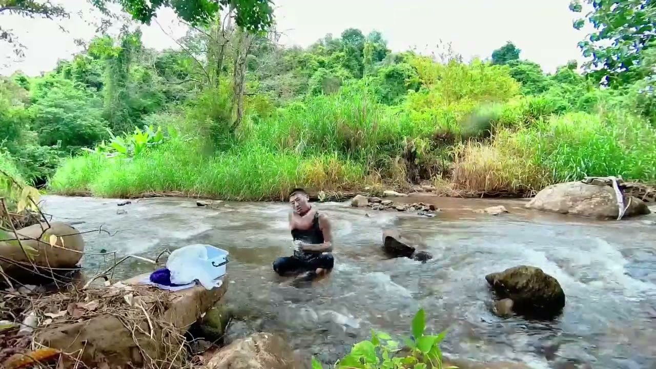 原始森林休息一天#旅行推荐官 #旅行 #西双版纳 #旅游