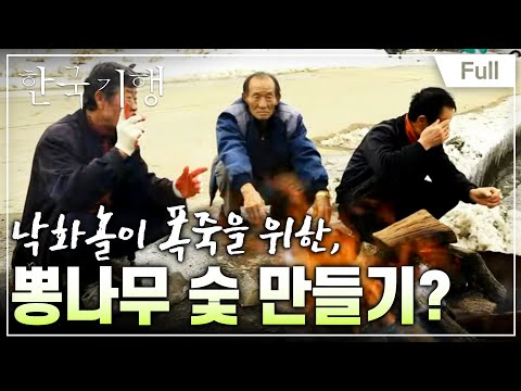 [Full] 한국기행 - 무진장   제4부 <strong>겨울밤</strong> 불꽃이 춤춘다 20140116