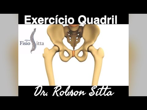 Exercícios Quadril Mobilidade Rotacional e Alívio da Dor - Clínica de Fisioterapia Dr. Robson Sitta