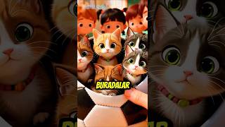 Toptan Kedi̇ler Çikti