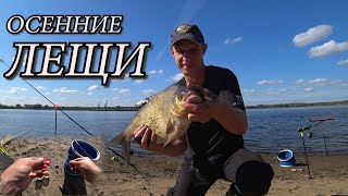 Лещи-кабаны! Ловля крупного ЛЕЩА осенью на макароны! Донки, фидер