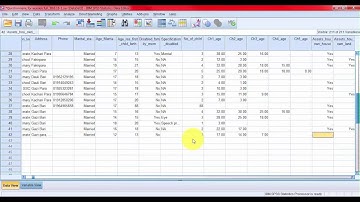 Sample data entry in spss ||Sample 1 Part 1||