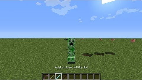 【Minecraft】Shape Shifter Z