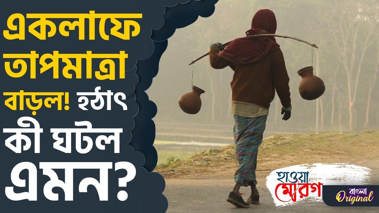 Weather, Kolkata Winter: রবিবার সকালে হঠাৎই বাড়ল তাপমাত্রা | 