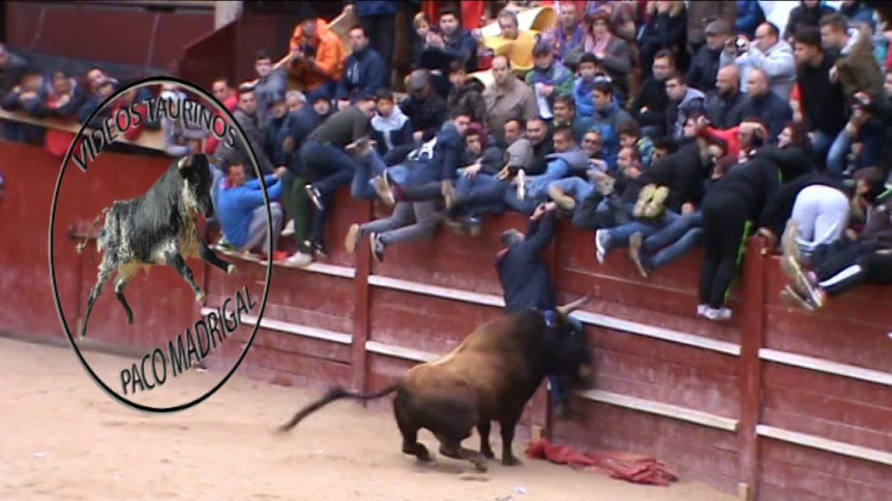 FUERTE COGIDA CIUDAD RODRIGO paco madrigal