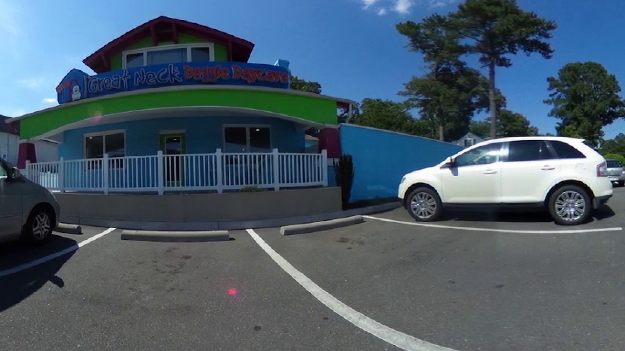 360 Virtual Tour Great Neck Doggie Daycare YouTube