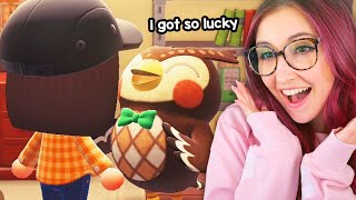 restarting my animal crossing island...again (Streamed 11/2/22)