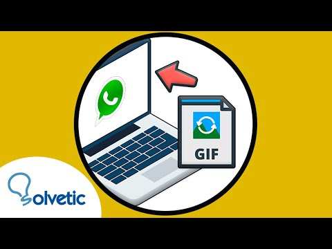 Vídeo: Com saber l'estat de contacte en línia de WhatsApp: 4 passos