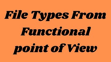 File Types From Functional point of View | 12th Class Computer-learn Izhan