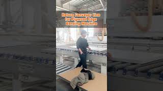 Return Conveyor Line for Plywood Edge Banding Machine #machine #conveyor #factory