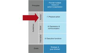 Introduction to Multiple Means of Action and Expression Net Worth