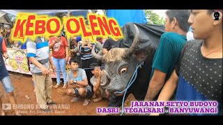 BANTENGAN JARANAN SETYO BUDOYO | DASRI TEGALSARI - BANYUWANGI