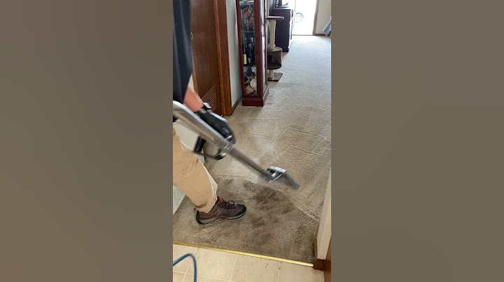 Satisfying Carpet Cleaning