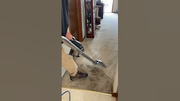 Satisfying Carpet Cleaning