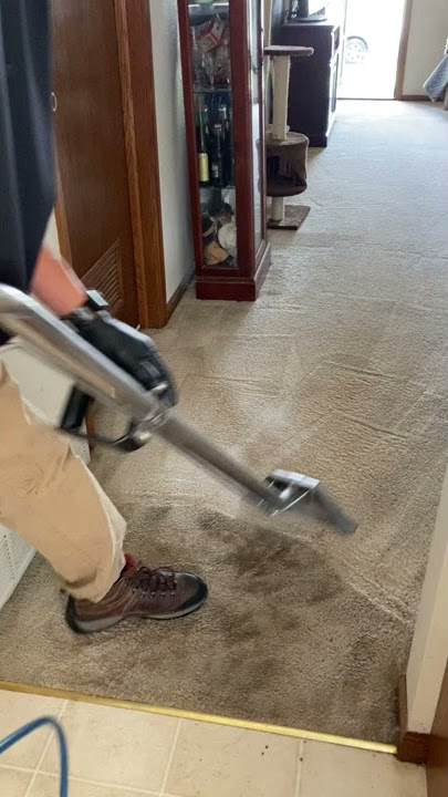 Satisfying Carpet Cleaning