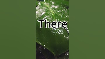 Numb Little Bug #video #edit #music #lyrics