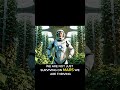 What Life On Mars Would Look Like!