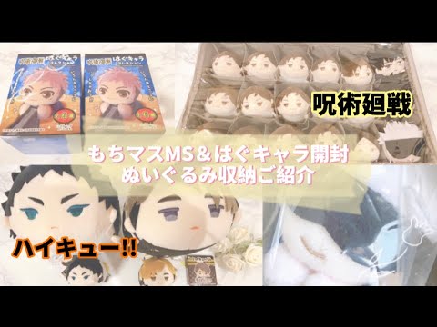 グッズ収納 開封】もちマスMS、はぐキャラグッズ開封 ぬいぐるみ収納 