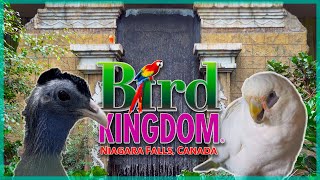 Visiting Bird Kingdom [World's Largest Indoor Free Flying Aviary] Niagara Falls, Canada