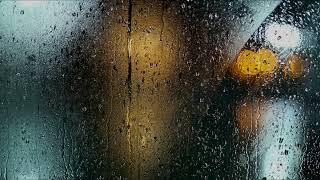 Harmonious Rainfall Delight: Deep Sleep and Tranquility