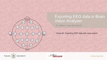 [NEUROSCIENCE INTRO] Exporting EEG data in Brain Vision Analyzer - Part 2