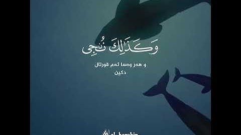 حالات واتس اب قران ادريس ابكر || اجمل حالات واتس اب دينية تلاوة مبكية😭