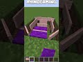 Area Rug Design In Minecraft! #shorts