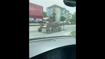 The Origin of Autopilot