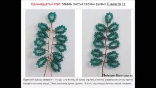 Цветы из бисера - Глициния Цветы из бисера - Глициния