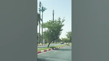 ساريني فبلادي 