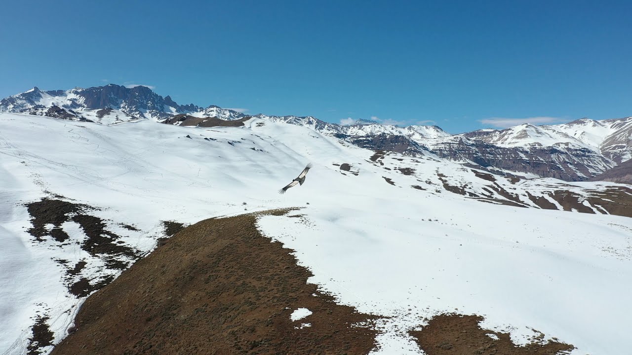 Lagunillas Alturas, Cajón del Maipo, Santiago Chile YouTube