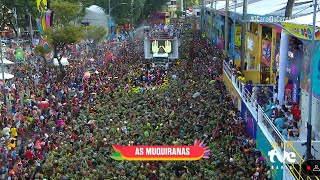 Calma Calabreso no Carnaval de Salvador #TropaDoDavi