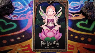 (Shadow and Light Oracle) x Pink Lotus Fairy x "A Time For Spirit"