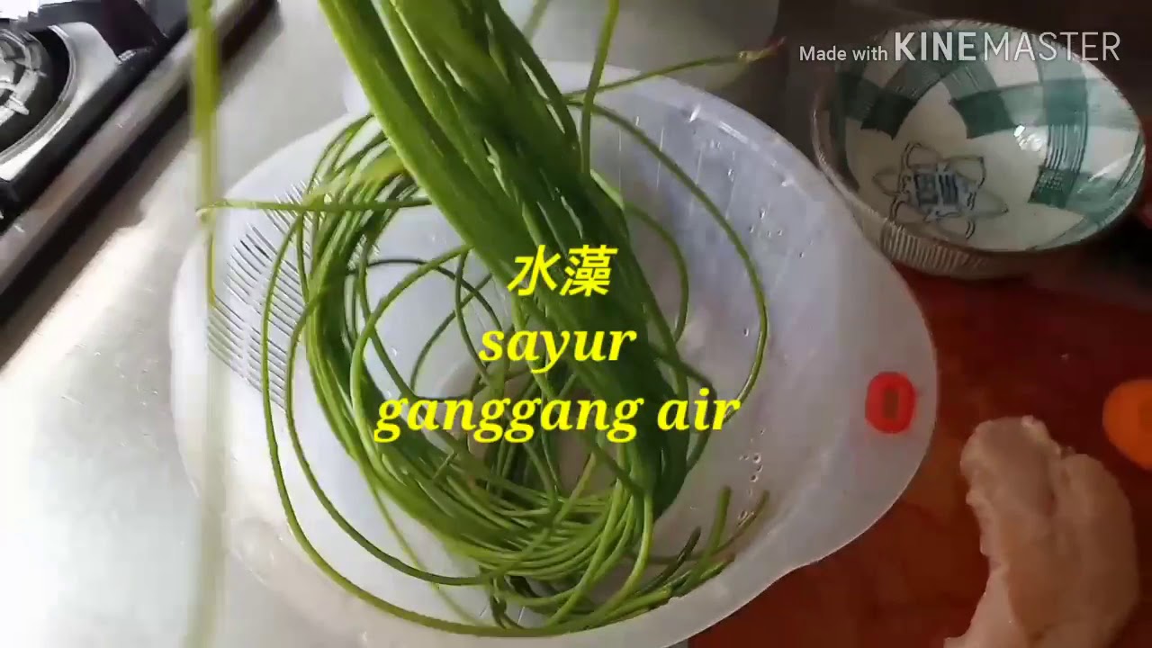 Masak ganggang air 水藻 