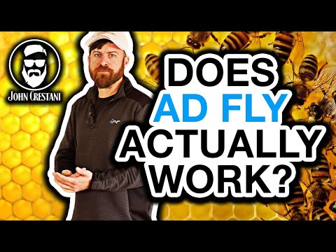 Ad.Fly Walkthrough, Get
