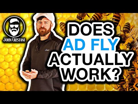 Ad.Fly Walkthrough, Get Paid for CLICKS... But Is It Worth It?