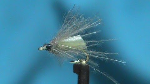 Fly Tying a CDC Garbage Bag Caddis Flymph with Jim Misiura