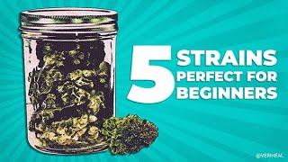 5 Cannabis Strains Perfect for Beginners screenshot 1