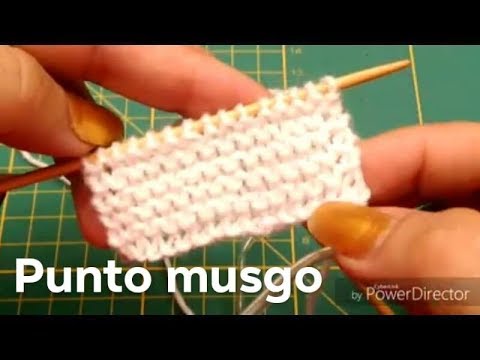 Video: Cómo Tejer Punto Musgo