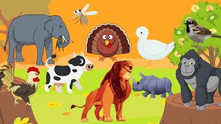 Animal Sounds Song (2) -  @Funtobelearn   #animalsounds #animalsong #preschool