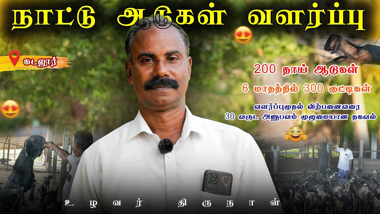 நாட்டு ஆடு வளர்ப்பது பற்றிய முழுமையான தகவல் | கடலூர் | உழவர் திருநாள்