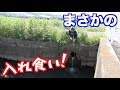 千葉県の有名バス釣りフィールドに「ヤバい穴」が存在した。