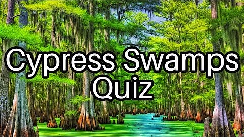 🌿 Cypress Swamps Quiz: Test Your Knowledge on America