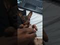 veja o vídeo completo ❤️❤️