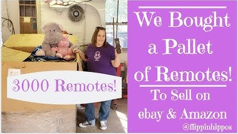 We Bought a Pallet of 3000 Remotes to Sell on eBay & Amazon!